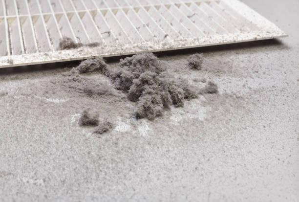 Best Ductwork Cleaning Services  in French Island, WI